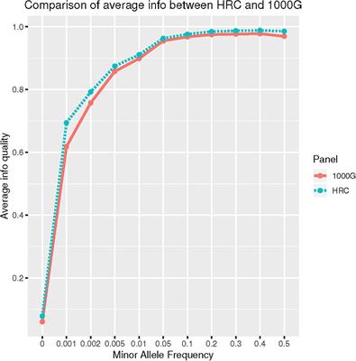 Rare Variants Imputation in Admixed Populations: Comparison Across Reference Panels and Bioinformatics Tools